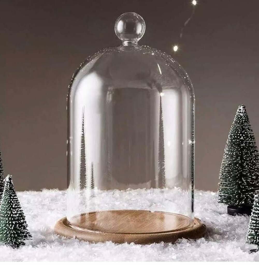 MXC Home Decor Glass Cloche Bell Jar Dome With Wooden Base